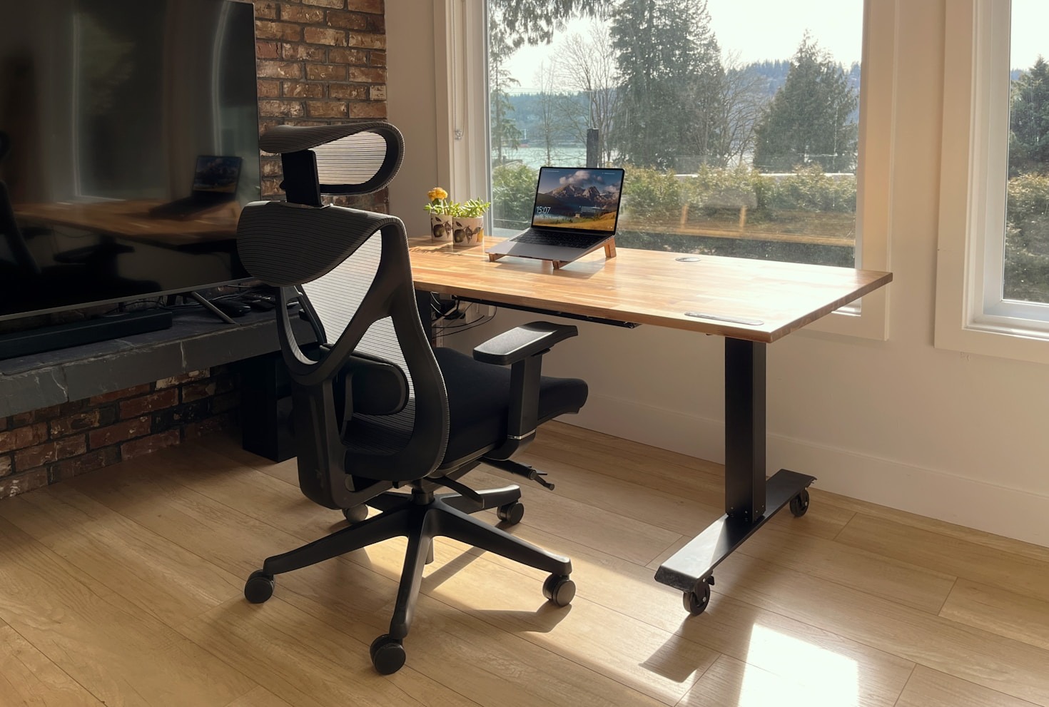 Dræb stressen nu: Den brutale sandhed om hvorfor planter redder din arbejdsdag